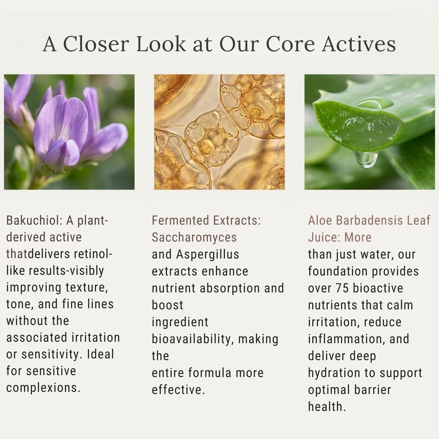 Advanced Microbiome + One & Done SPF 50 | Duo Barrier Repair – Gleem Skincare