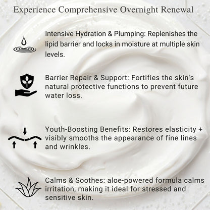 Soft Immersion Night Moisturizer | Barrier Repair Hydration | Gleem Skincare