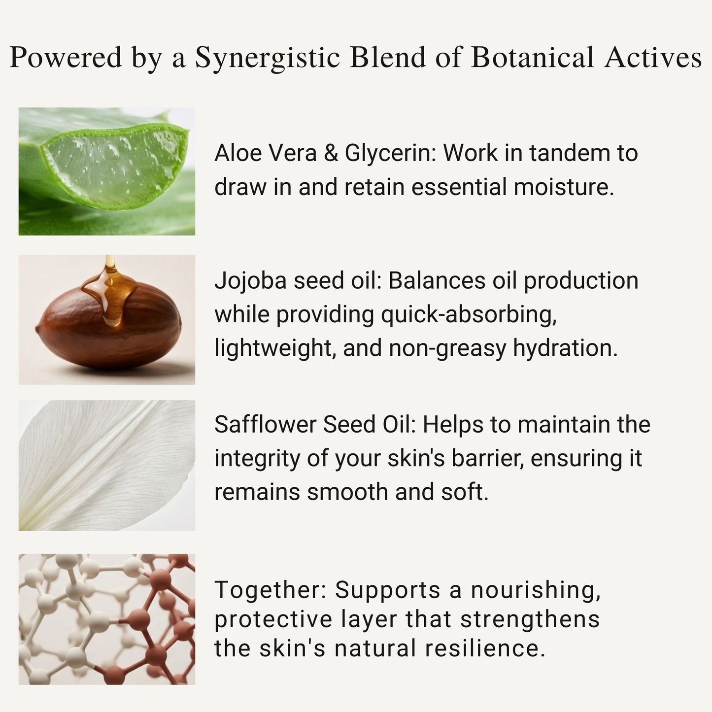 Soft Immersion Night Moisturizer | Barrier Repair Hydration | Gleem Skincare