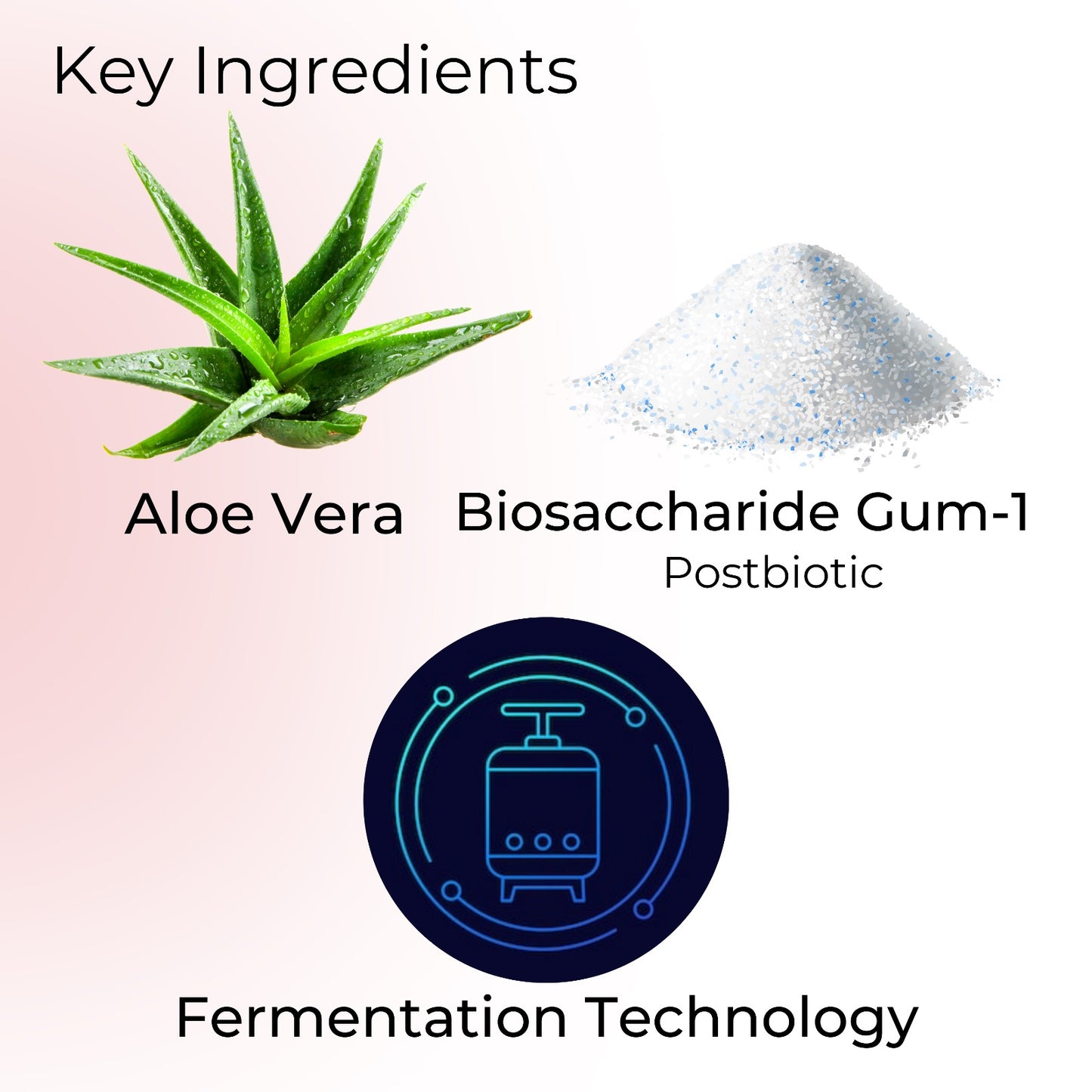 Key Ingredients of Super Nourishing Toner: Aloe Vera, Biosaccharide Gum-1 (a postbiotic) and Fermentation Technology.